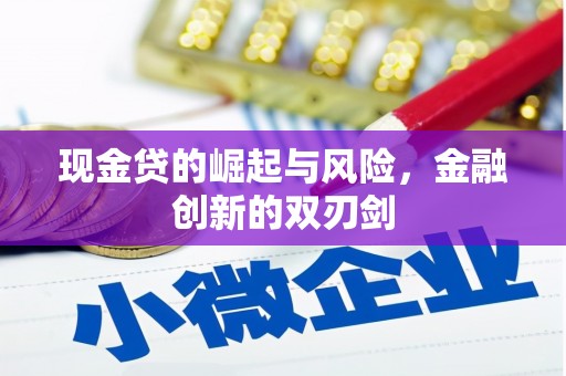 平乐现金贷的崛起与风险，金融创新的双刃剑
