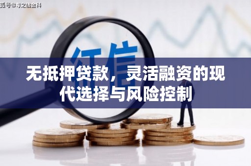 平乐无抵押贷款，灵活融资的现代选择与风险控制