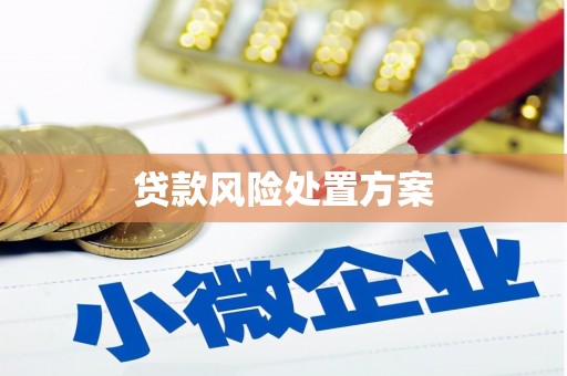 平乐贷款风险处置方案