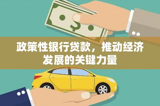 平乐政策性银行贷款，推动经济发展的关键力量