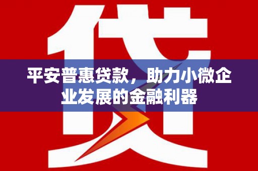平乐平安普惠贷款，助力小微企业发展的金融利器