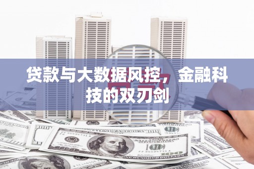 平乐贷款与大数据风控，金融科技的双刃剑