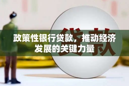 平乐政策性银行贷款，推动经济发展的关键力量