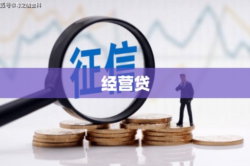 平乐经营贷