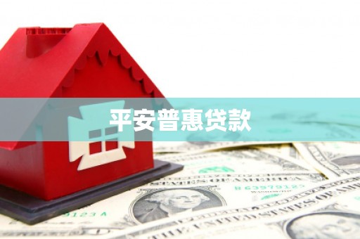平乐平安普惠贷款