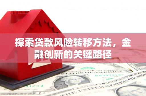 平乐探索贷款风险转移方法，金融创新的关键路径