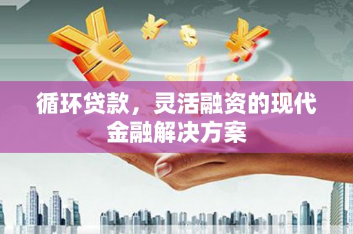 平乐循环贷款，灵活融资的现代金融解决方案