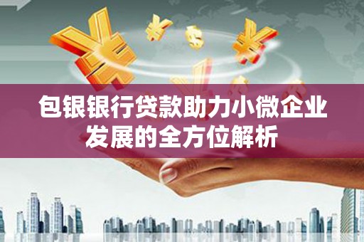 平乐包银银行贷款助力小微企业发展的全方位解析