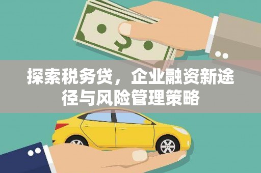 平乐探索税务贷，企业融资新途径与风险管理策略