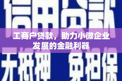 平乐工商户贷款，助力小微企业发展的金融利器
