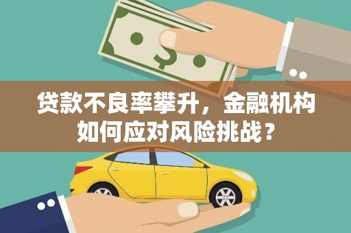 平乐贷款不良率攀升，金融机构如何应对风险挑战？