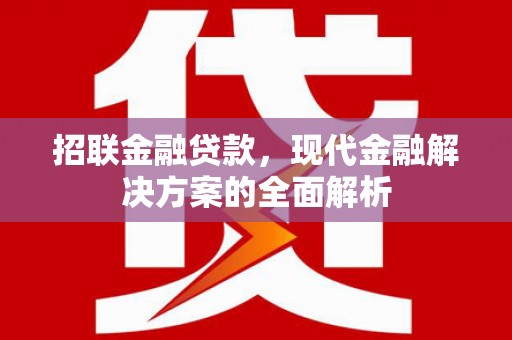 平乐招联金融贷款，现代金融解决方案的全面解析