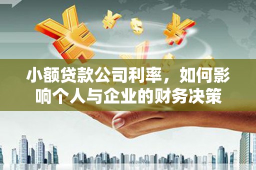平乐小额贷款公司利率，如何影响个人与企业的财务决策