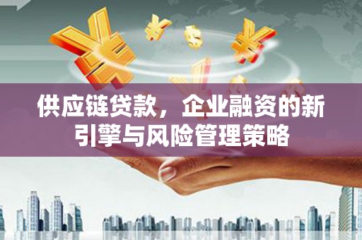 平乐供应链贷款，企业融资的新引擎与风险管理策略