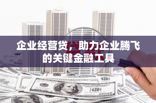 平乐企业经营贷，助力企业腾飞的关键金融工具