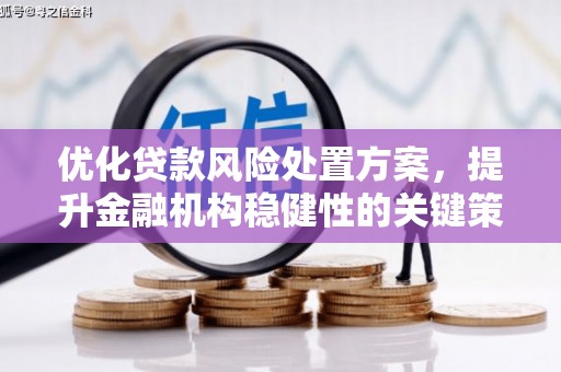 平乐优化贷款风险处置方案，提升金融机构稳健性的关键策略