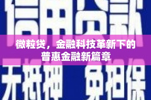 平乐微粒贷，金融科技革新下的普惠金融新篇章