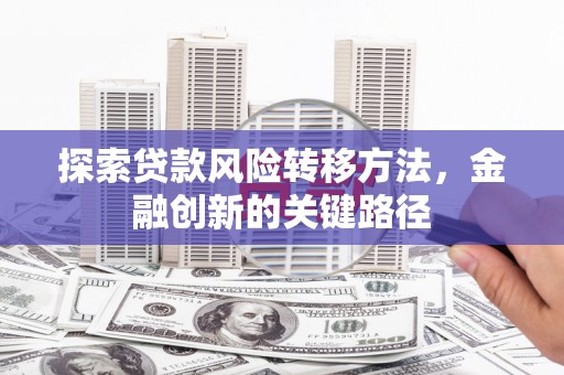 平乐探索贷款风险转移方法，金融创新的关键路径