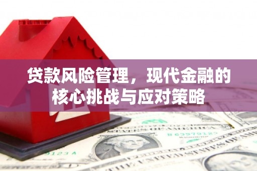 平乐贷款风险管理，现代金融的核心挑战与应对策略