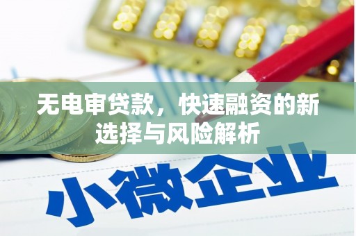 平乐无电审贷款，快速融资的新选择与风险解析