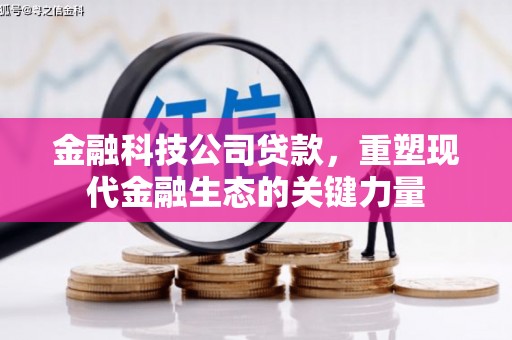 平乐金融科技公司贷款，重塑现代金融生态的关键力量