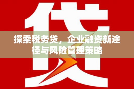 平乐探索税务贷，企业融资新途径与风险管理策略