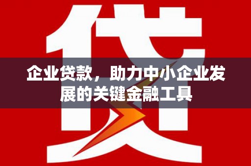 平乐企业贷款，助力中小企业发展的关键金融工具