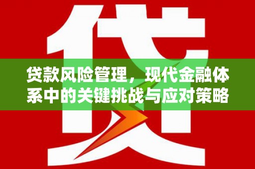 平乐贷款风险管理，现代金融体系中的关键挑战与应对策略