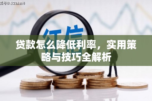 平乐贷款怎么降低利率，实用策略与技巧全解析