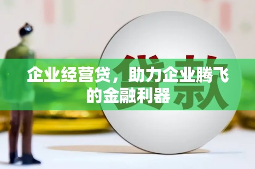 平乐企业经营贷，助力企业腾飞的金融利器
