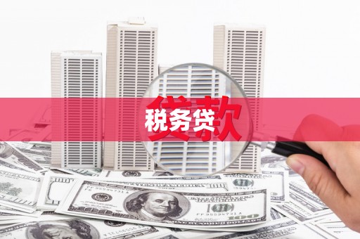 平乐税务贷