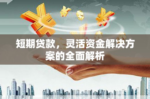 平乐短期贷款，灵活资金解决方案的全面解析