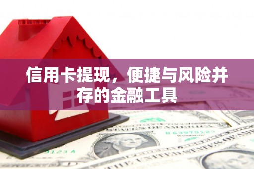 平乐信用卡提现，便捷与风险并存的金融工具