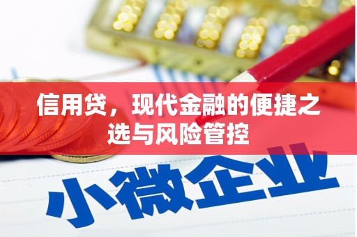 平乐信用贷，现代金融的便捷之选与风险管控