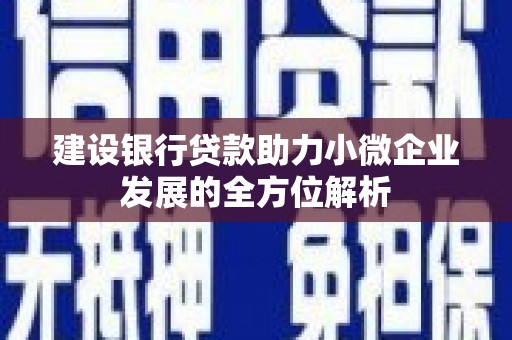 平乐建设银行贷款助力小微企业发展的全方位解析