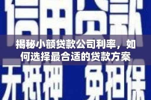 平乐揭秘小额贷款公司利率，如何选择最合适的贷款方案