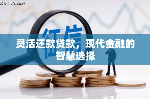 平乐灵活还款贷款，现代金融的智慧选择