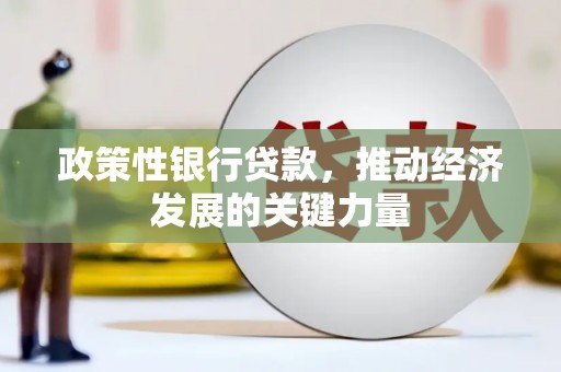 平乐政策性银行贷款，推动经济发展的关键力量