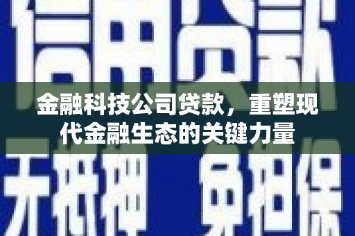 平乐金融科技公司贷款，重塑现代金融生态的关键力量