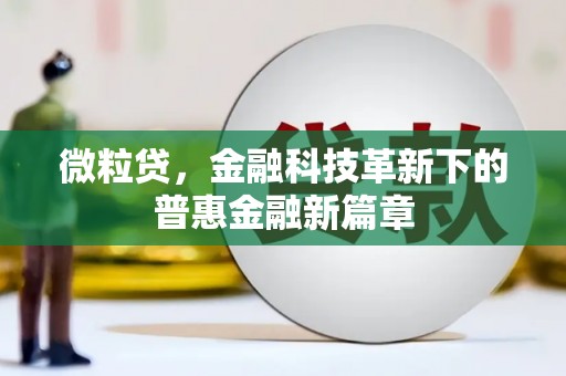 平乐微粒贷，金融科技革新下的普惠金融新篇章