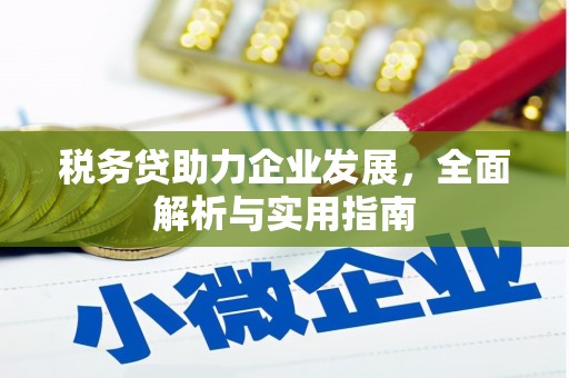 平乐税务贷助力企业发展，全面解析与实用指南