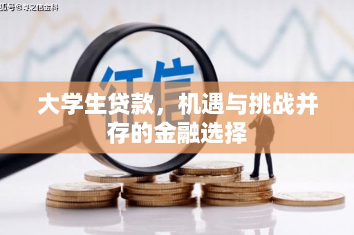 平乐大学生贷款，机遇与挑战并存的金融选择
