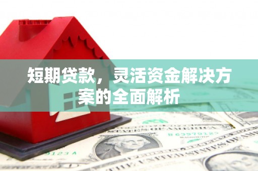 平乐短期贷款，灵活资金解决方案的全面解析