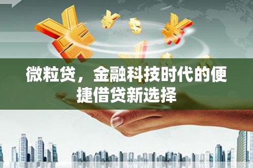 平乐微粒贷，金融科技时代的便捷借贷新选择