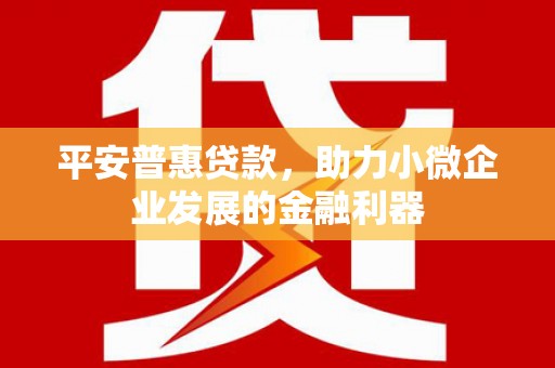 平乐平安普惠贷款，助力小微企业发展的金融利器