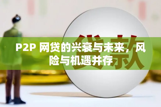 平乐P2P 网贷的兴衰与未来，风险与机遇并存