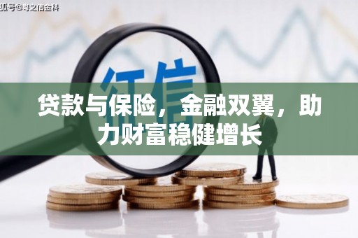 平乐贷款与保险，金融双翼，助力财富稳健增长