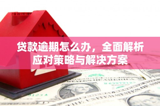 平乐贷款逾期怎么办，全面解析应对策略与解决方案
